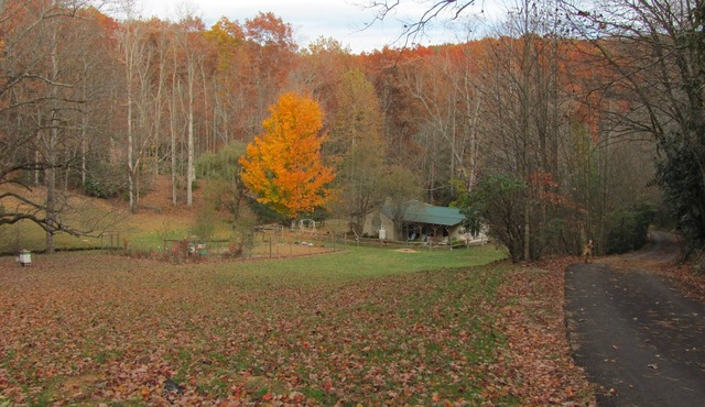 Secluded One Bedroom Cottage In Scenic Patrick County, VA