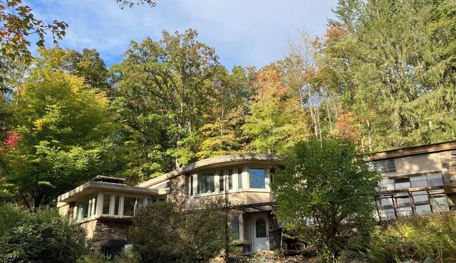 Secluded, organic modern 3-bedroom home in wooded setting.