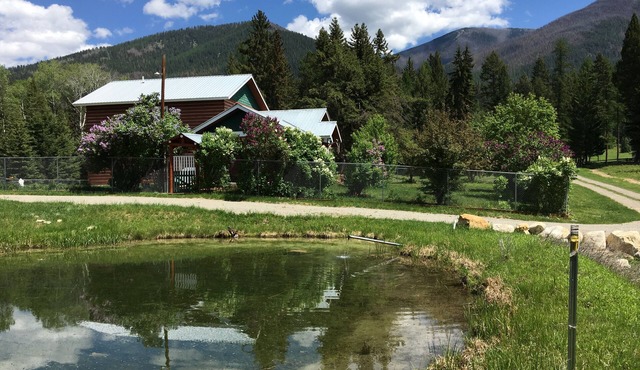 Secluded Outdoorsman's Paradise: Entire Rocky Mountain Luxury Log Cabin Home