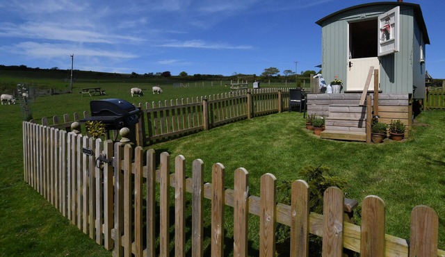 Secluded, peaceful large Shepherd hut on 14 acre smallholding.
