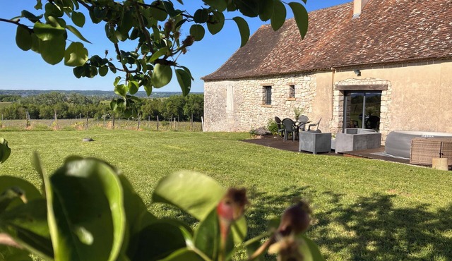 Secluded Périgourdine, nestled in the vineyards with a spa and a view
