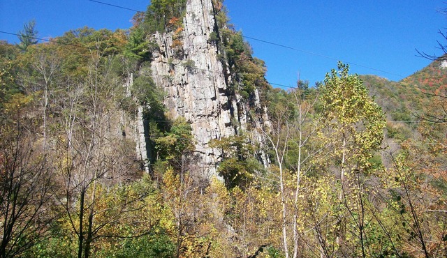 Secluded Pet-friendly Cabin At Smoke Hole With 5 Person Hottub and WIFI