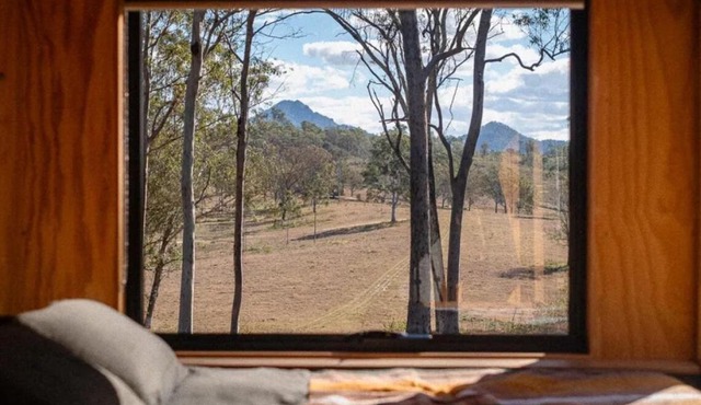 Secluded & Pet Friendly Cabin Deep in Nature - Remy