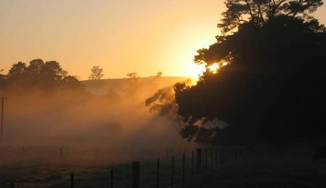 SECLUDED, QUIET, PRIVATE "FERNDALE" B&B Farm Stay n5mins to BUNDANOON or EXETER