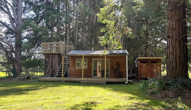 Secluded Redwood Cabin. Built from a redwood tree that blew down in a cyclone