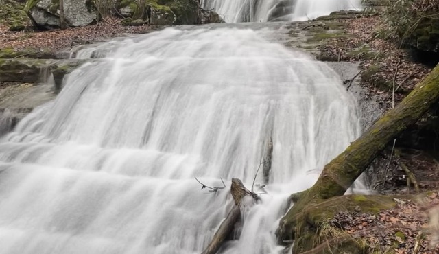 Secluded Retreat- Endless Mtn Views, Rushing Stream, Waterfalls- Sleeps up to 18