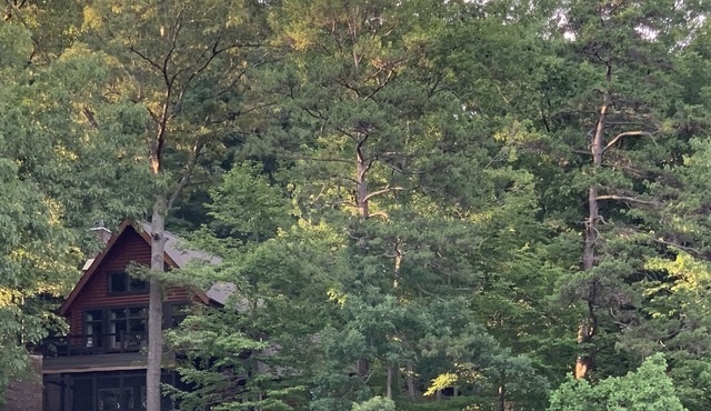 Secluded retreat in the woods on Big Creek.