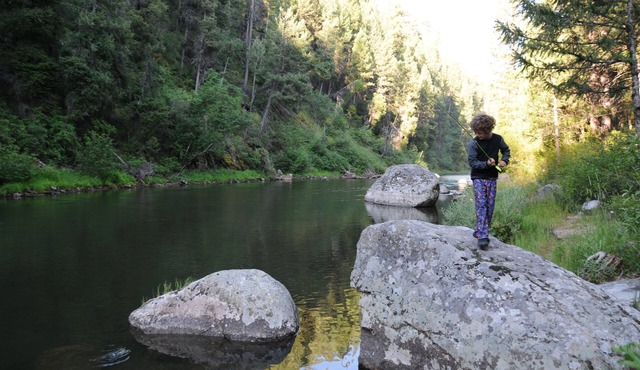 Secluded Riverfront Paradise-the Tailwater House: not the average rental.