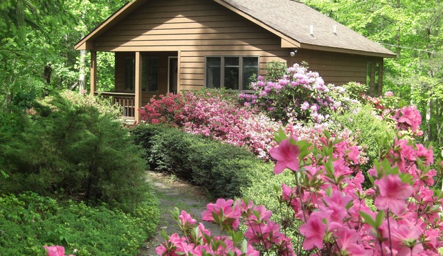 Secluded, Romantic Mountain Cabin for 2, fully equipped