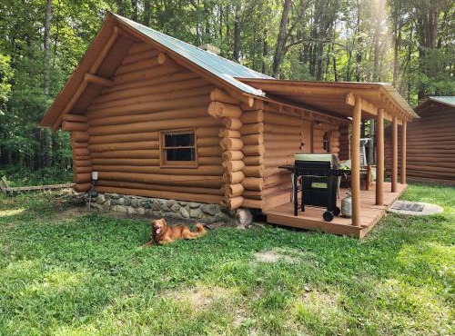 Secluded Rustic Cabins with Private Pond & Trails near ORV Routes in White Cloud, Michigan