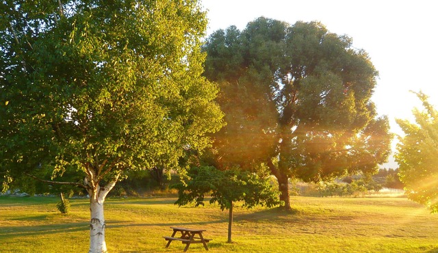 Secluded Sanctuary near Wanaka, Mtn Setting, Stunning Views