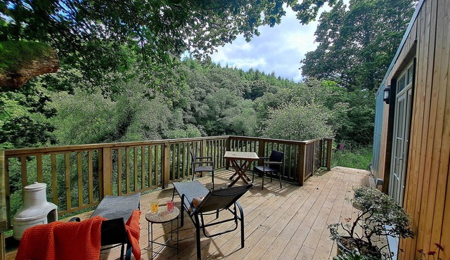 Secluded Sanctuary of Peace in the Trees -Glorious Cabin on Wildlife Reserve