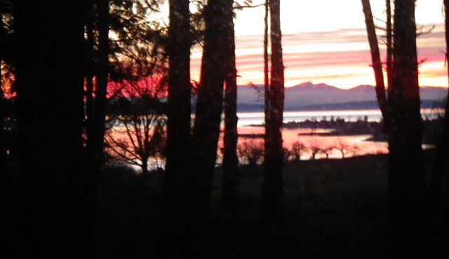 Secluded Sea View Cottage By Lily Point Marine Park Beach