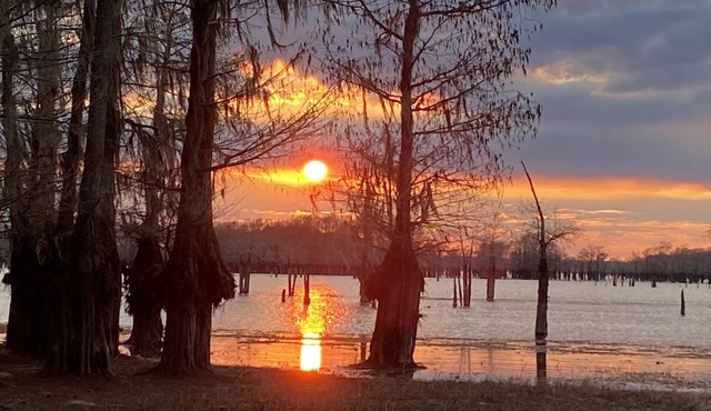 Secluded Shades of Blue Lake Bistineau Sunsets Sleeps 19