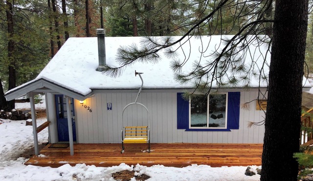 Secluded Tahoe cabin, minutes from skiing & the lake. Large yard & pet friendly!