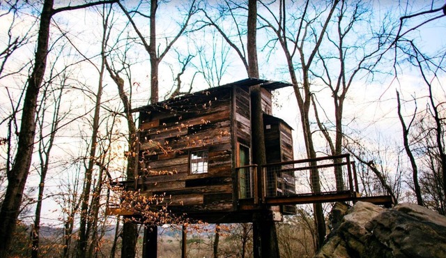 Secluded Tree House in the Forest near the Appalachian Mountains, Georgia