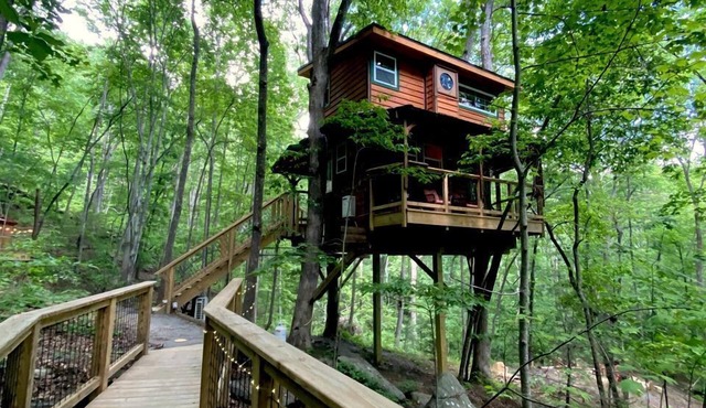 Secluded Treetop Oasis, Original Treehouse in Tennessee