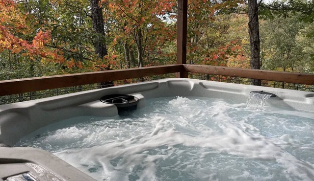 Secluded Two Bedroom Cabin w/Hot Tub Dog Friendly