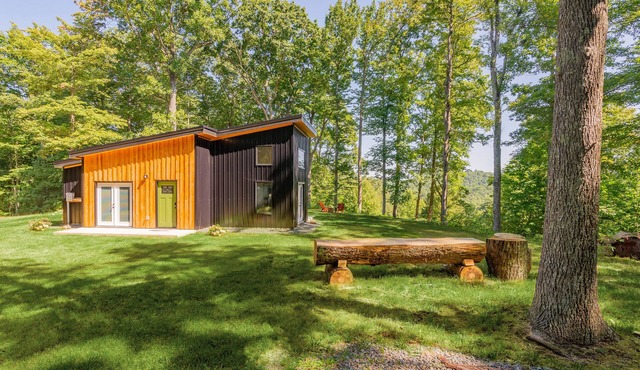 Secluded, Unique, Modern Mountain Home Near River and Blue Ridge Parkway!