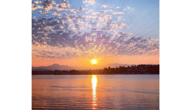 Secluded Waterfront Retreat