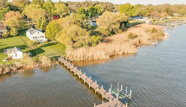Secluded waterfront house to relax or enjoy water activities from private pier