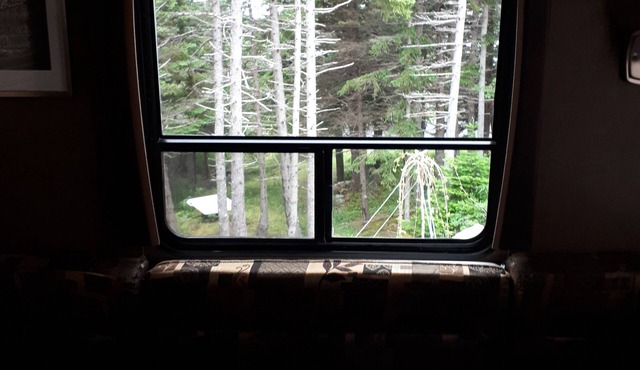 Secluded wooded getaway steps from the salt water