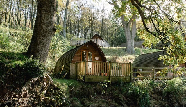 Secluded Woodland Cabin in North Cumbria