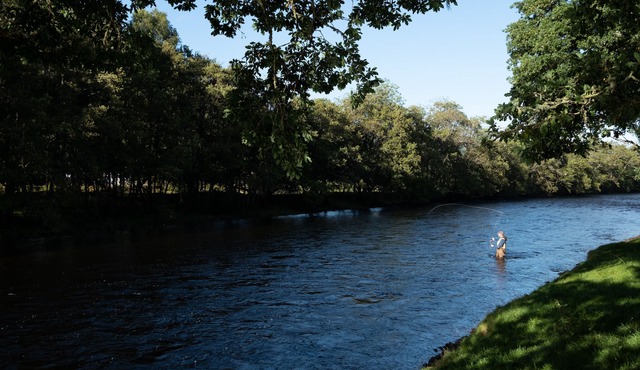 Secluded woodland cottage on the banks of a pristine Highland river