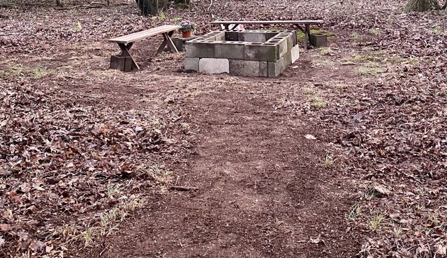 Secluded Woodland, Mountain Cottage on 30+ Acres