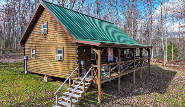 Secluded Woodland Retreat Surrounded by Forest Views & Wildlife
