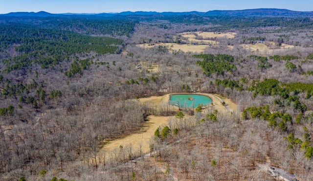 Secluded Woodsy Luxury Hm 40 PRIVATE gated Acres, Pond, Hot Springs Mount Ida