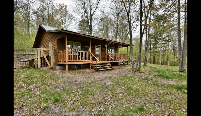 Secluded Yellow River Cabin