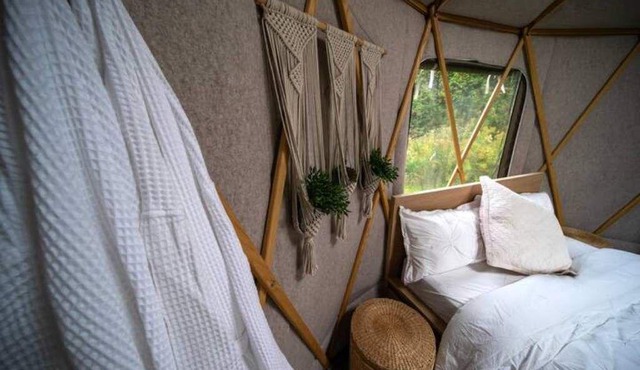 Secluded Yurt on 100+ Acre Tree Farm