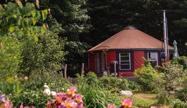 Secluded Yurt, Retreat on a Forest Farm
