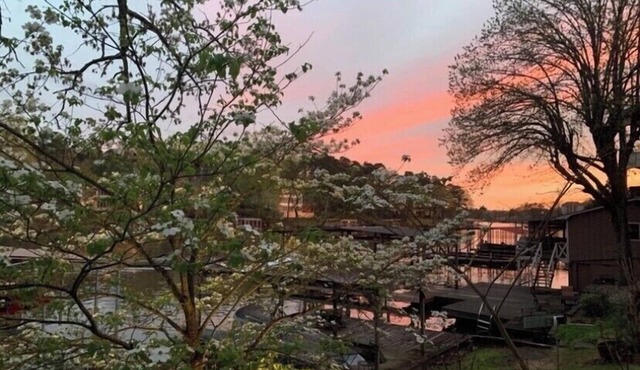“Seclusion” - Swim-Boat Dock, Hot Tub, Fire Pit, Kayaks for rent on property