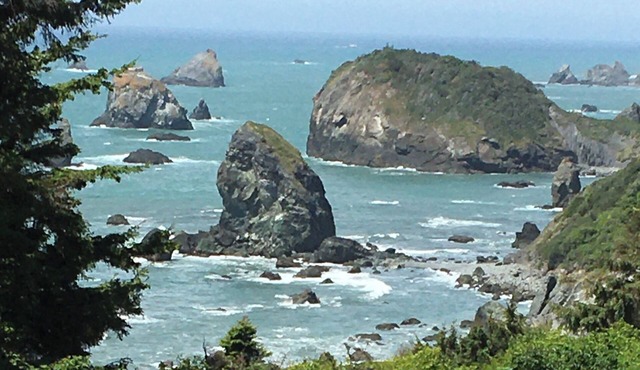Secret Beach Retreat 1 Ocean Front nearTrinidad CA