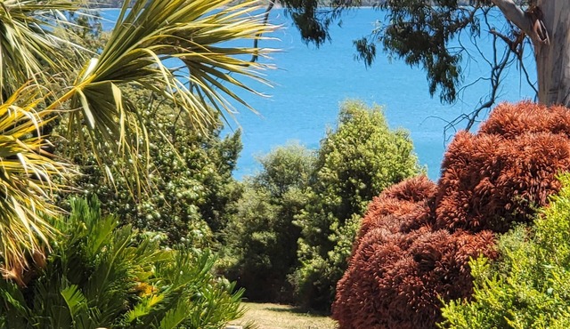 Secret escape overlooking Diana Pond