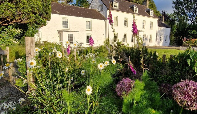SECRET GARDEN COTTAGE, family friendly, with open fire in Aberaeron