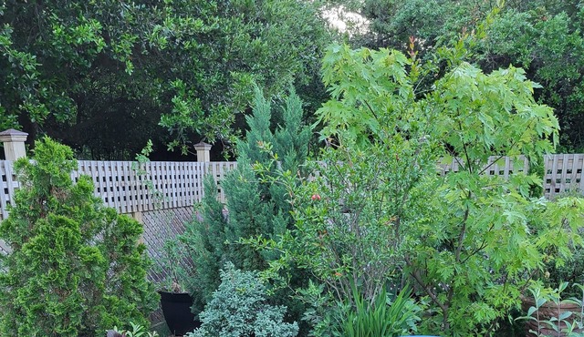 Secret garden retreat 3 minutes from beach!