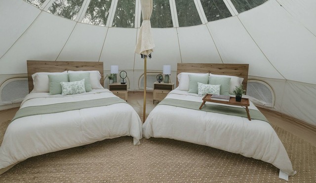 Secret Sycamore– Private Stargazing Glamping Tent with Fire Pit & Open Skies