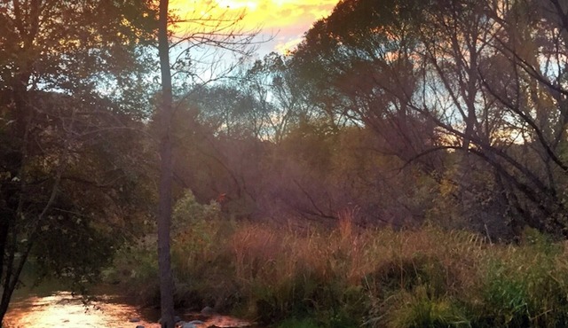 Sedona Creekfront Hideaway ~ a beautiful private home on 2 acres of creek front