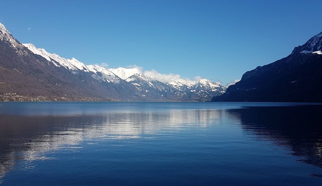 See & Alpen apartment at T&M