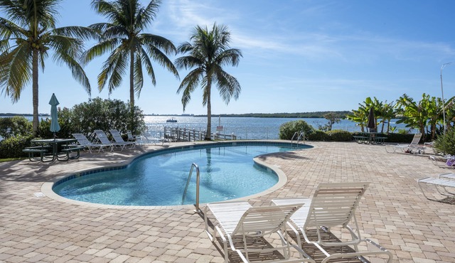 See dolphins from the balcony! Hot tub and pool. Renovated & fully equipped.#410