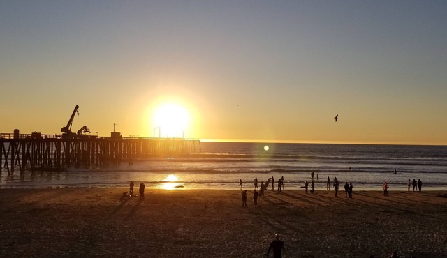 SEE SEAEN Oceano Pismo Grover Avila Shell Beach