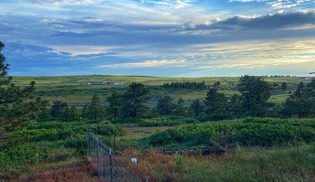 See the stars from this cozy guest cabin 30 minutes from Billings.