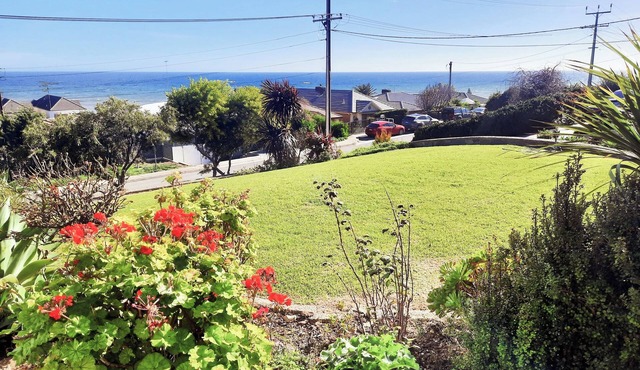 See to Sea Apartment - Prime Location Ocean Views, Sunsets, Conservation Parkn