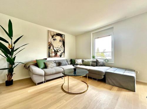 Seeblick Wohnung in Wollishofen