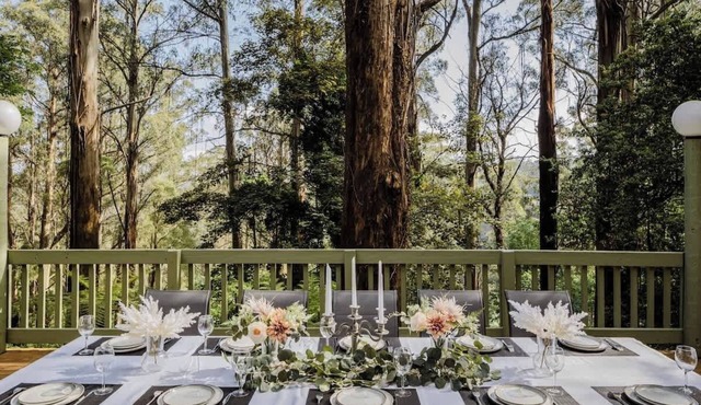 Seednest Treehouse | Forest & Mountain View