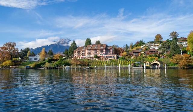 Seehotel Kastanienbaum