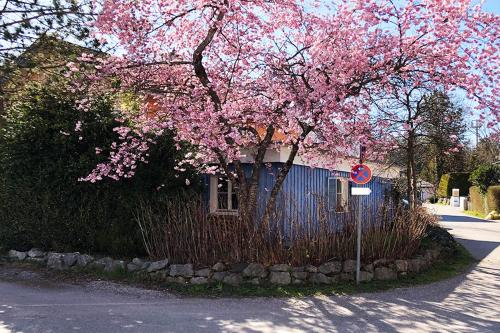 Seeloft Seeshaupt - Loft-Appartement am Starnberger See in Seeshaupt